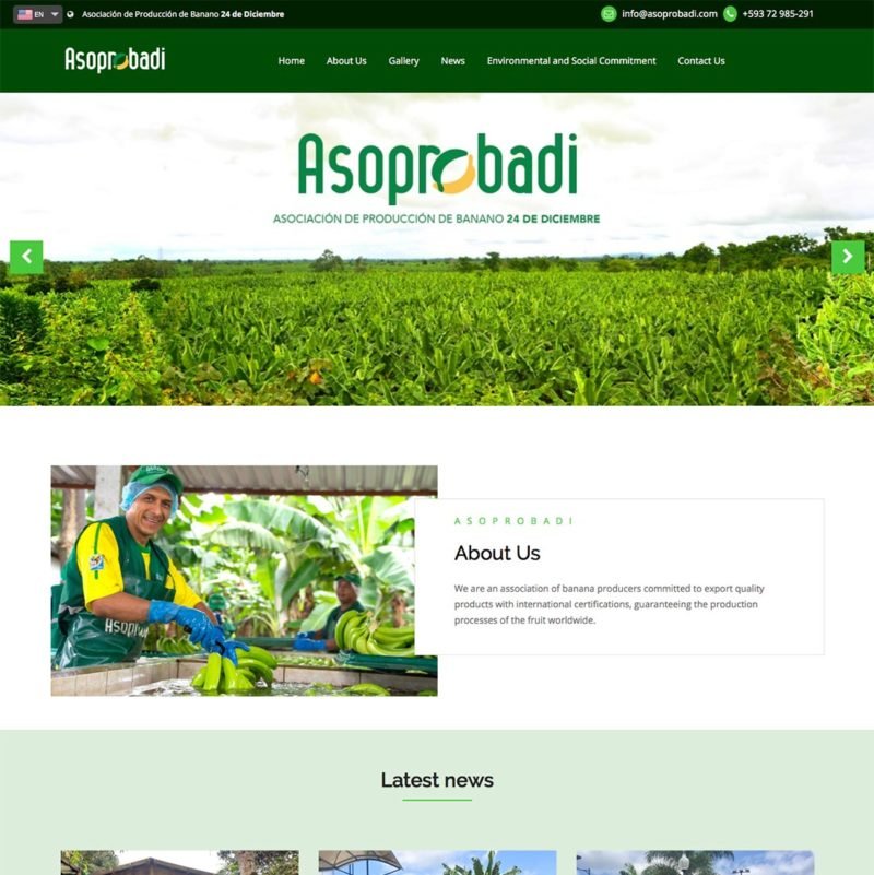 Website Asoprobadi